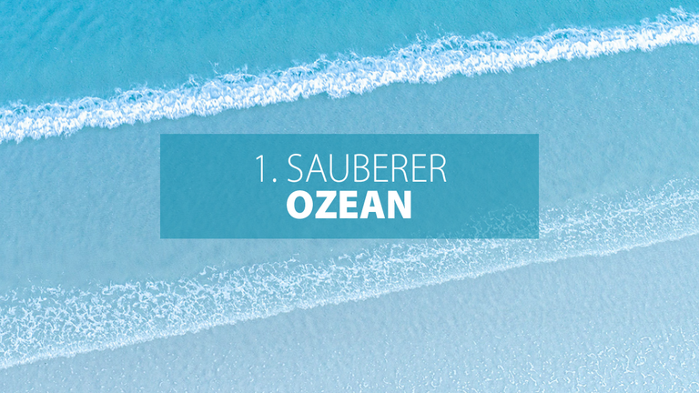 Ziel 1: Sauberer Ozean