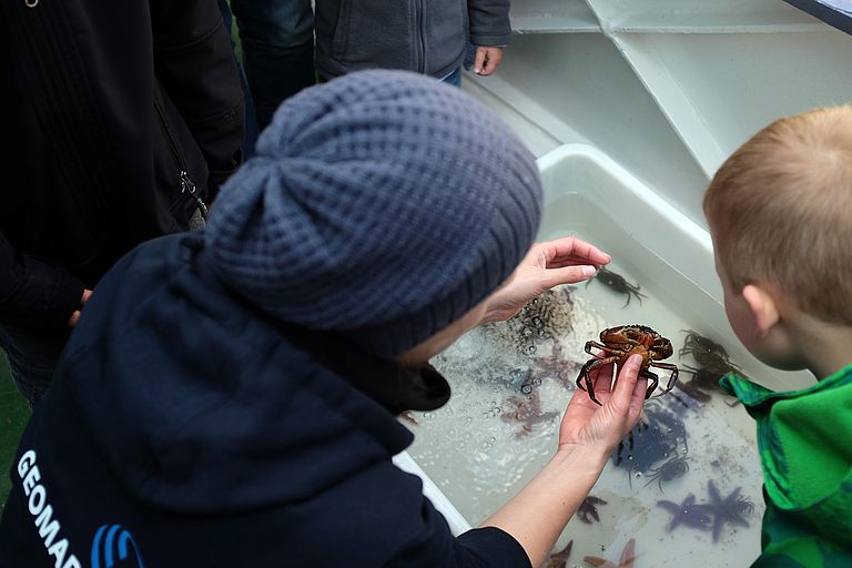 Das GEOMAR-Team bringt beim KIDS Festival großen und kleinen Besuchern die Lebewesen der Ostsee näher. Foto: Jan Steffen, GEOMAR