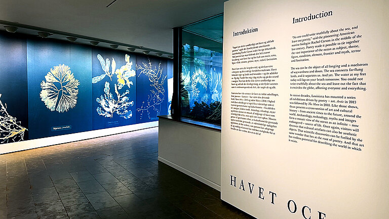 Entrance to the ‘OCEAN’ exhibition at the Louisiana Museum of Modern Art in Denmark.