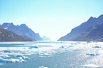 Eisschollen auf blauem Wasser in einem Fjord. Berge im Hintergrund. 