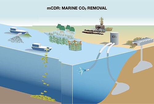 sketch of marine carbon dioxide removal methods