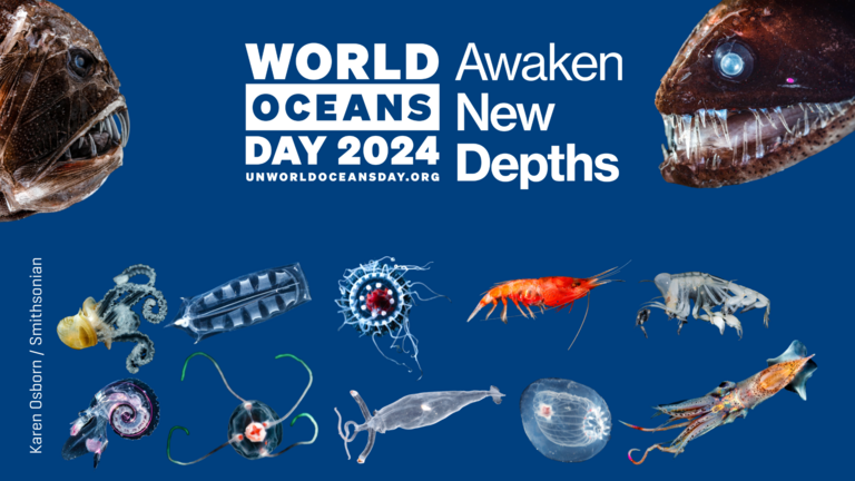 Claim World Oceans Day und Fotos von Tiefseeorganismen