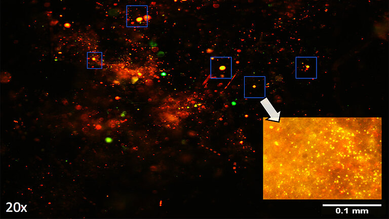 Reddish, green and yellow glowing dots against a black background