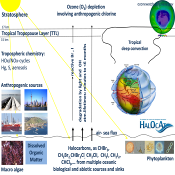 Team - Halocarbon - GEOMAR - Helmholtz-Zentrum für Ozeanforschung Kiel