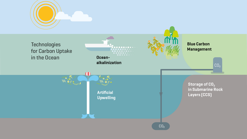 Carbon Uptake In The Ocean