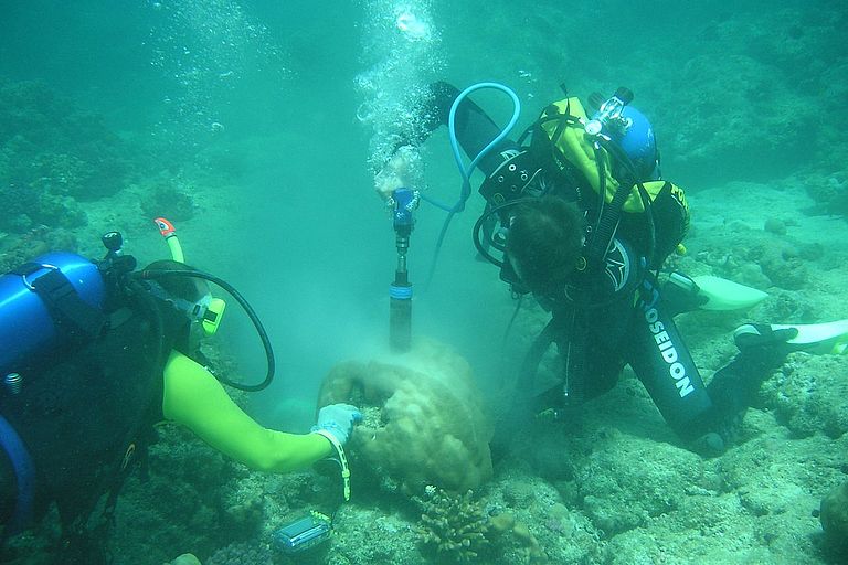 Zahlreiche Tauchgänge führten die Kieler Meeresbiologen und ihre saudi-arabischen Kollegen zu den Korallenriffen des Roten Meeres. Mit gezielt entnommenen Proben soll der Zustand der Riffe überprüft werden. Foto: M. Wahl, IFM-GEOMAR