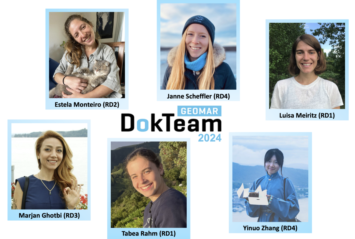 DokTeam 2024