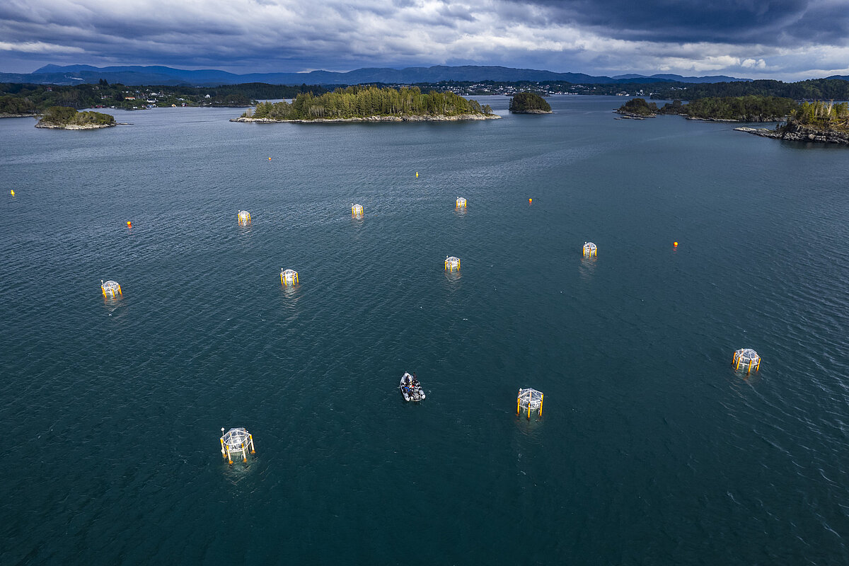 mesocosms aerial