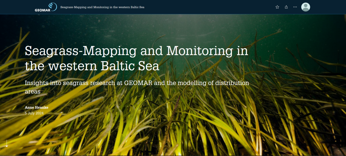 Cover Image Storymap Seagrass Mapping and Monitoring