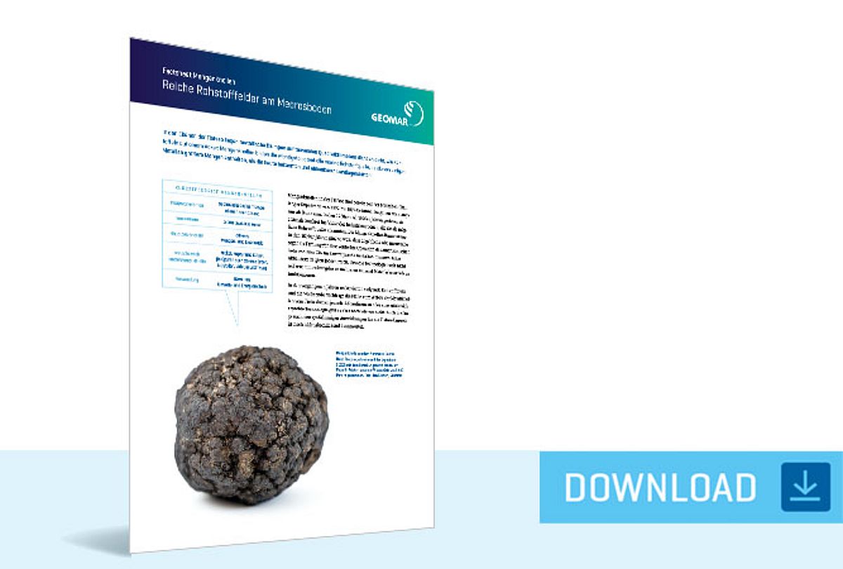 Factsheet Manganese Nodules – Rich Mineral Fields on the Seabed