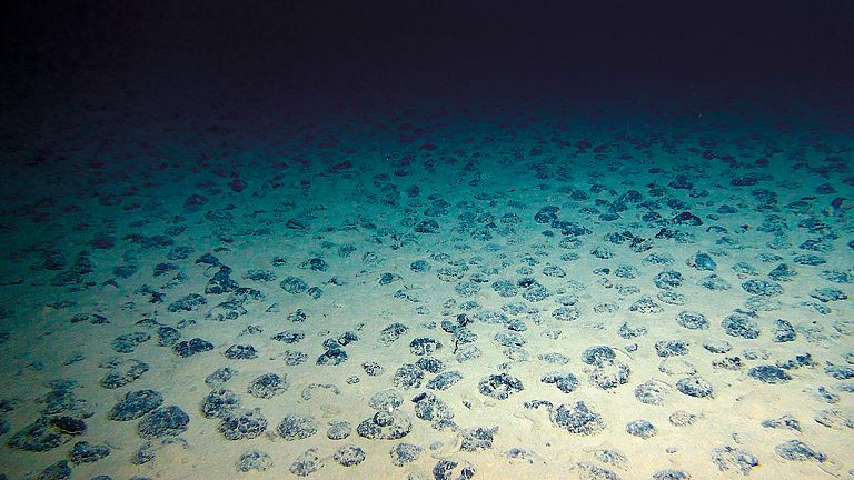 Manganese nodules on the seafloor in the Clarion-Clipperton zone.