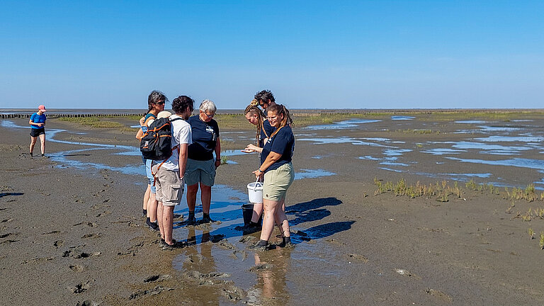 Eine Gruppe sommerlich bekleideter junger Menschen läuft durch den Matsch im Wattenmeer, der Himmel ist strahlend blau