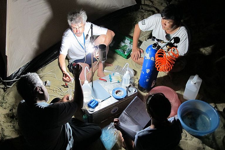 Nachts werden die am Tag gesammelten Proben im Camp einer ersten Untersuchung unterzogen. Foto: M. Wahl, IFM-GEOMAR