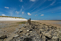 Das Bild zeigt eine weite Küstenlandschaft auf Sylt mit Dünen, alten Holzpfählen und freigelegtem Watt unter einem klaren, blauen Himmel.