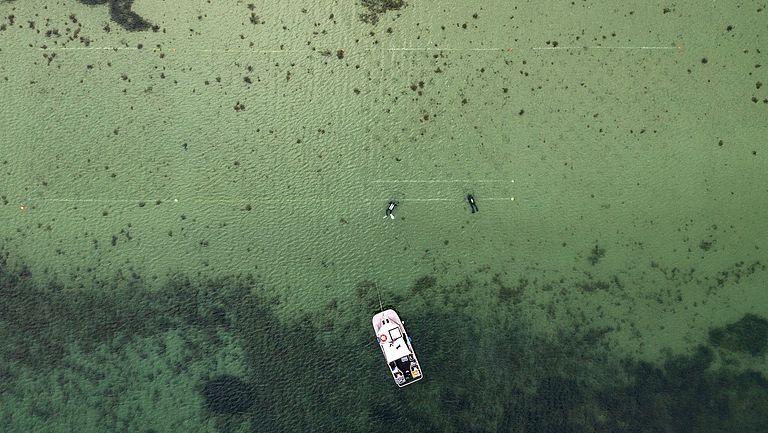 Research divers laying out a seagrass restoration field in the Flensburg Fjord in 2022.