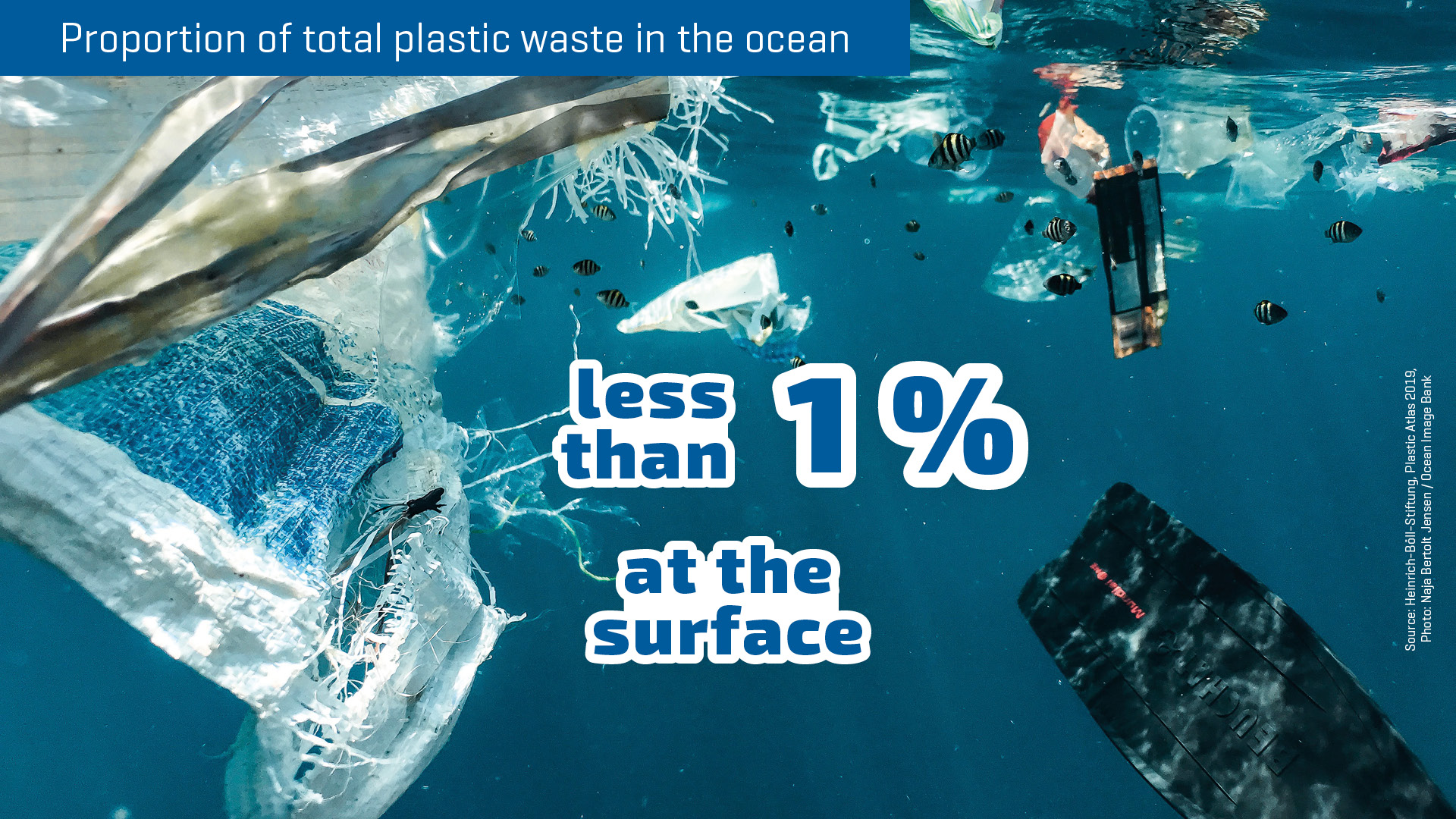 Plastics In The Ocean