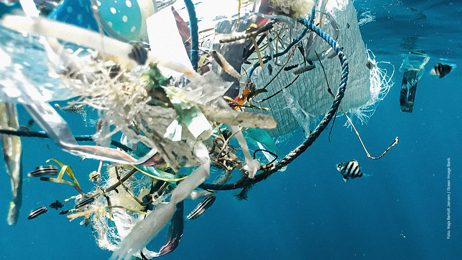 Plastikmüll Im Meer