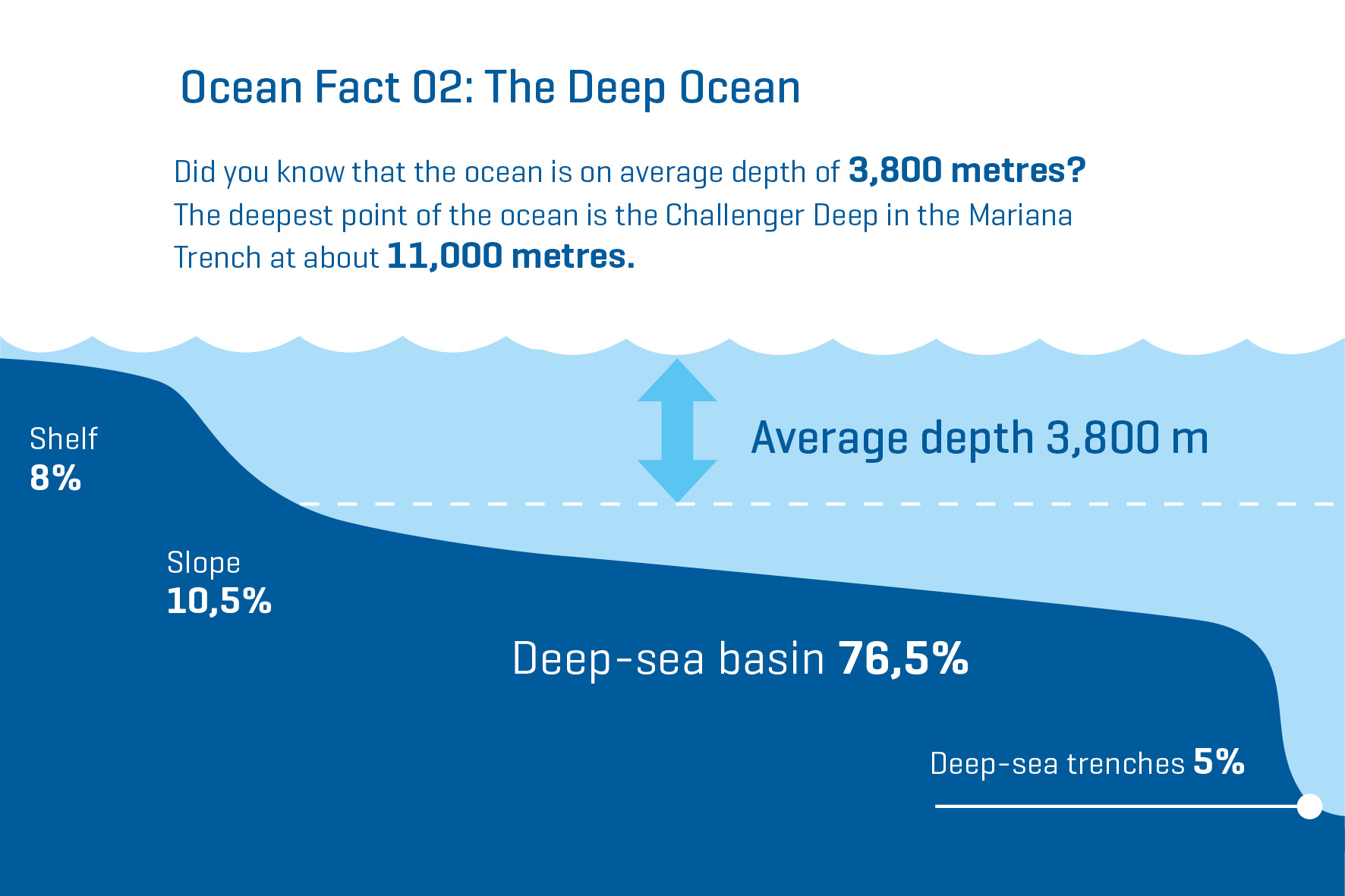 Ocean Facts En 02 